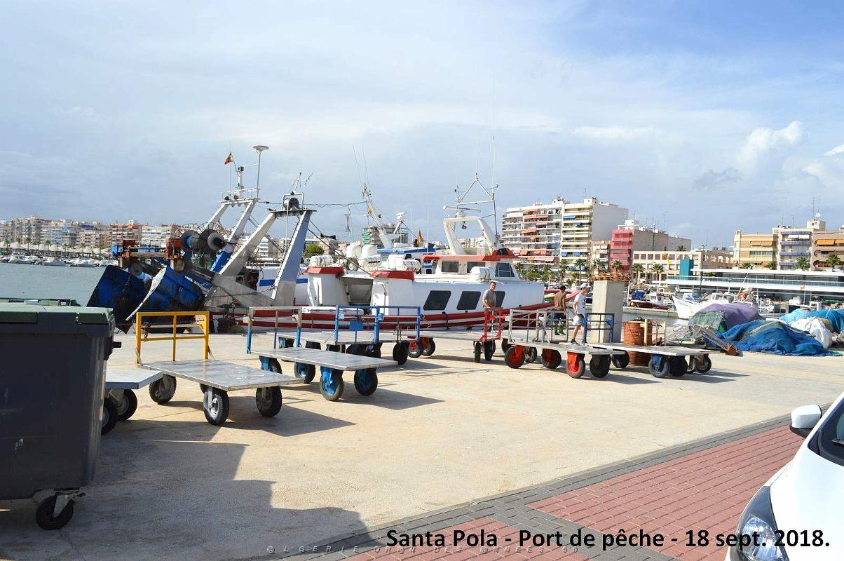 11 SANTA POLA PORT DE PECHE (37).JPG